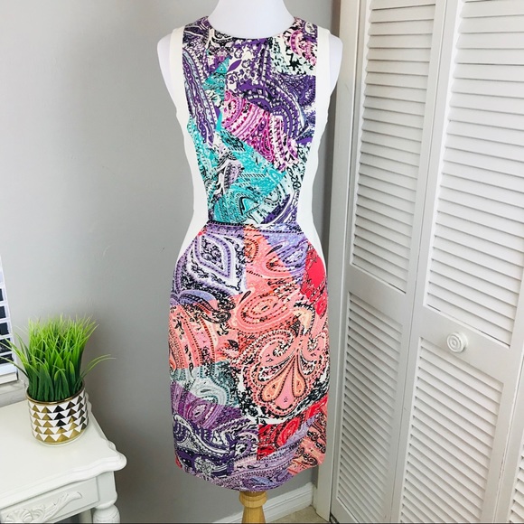 Carlisle Dresses & Skirts - Carlisle abstract colorful Paisley Sheath Dress